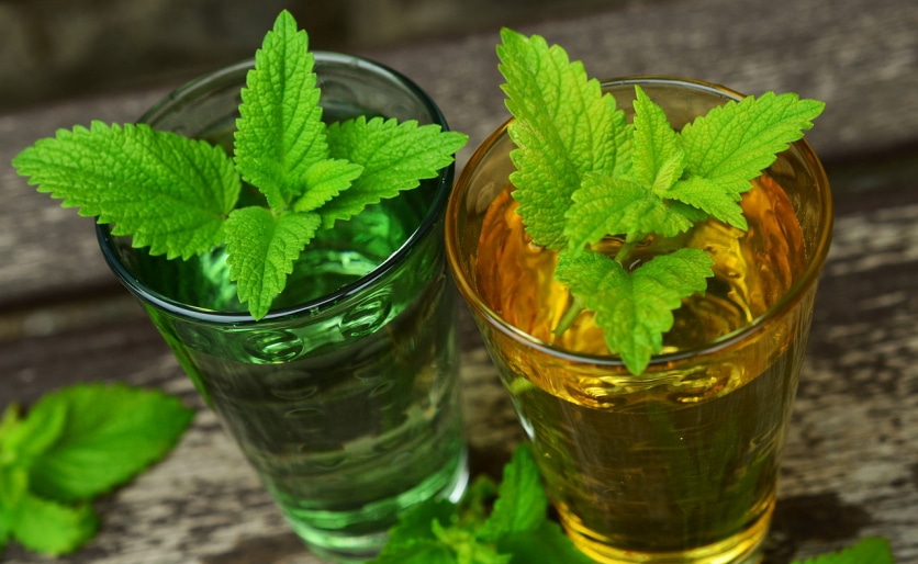 melisa lekarska działanie lecznicze