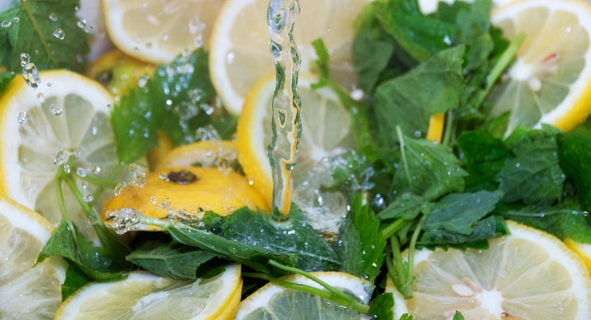 melisa lekarska zastosowanie