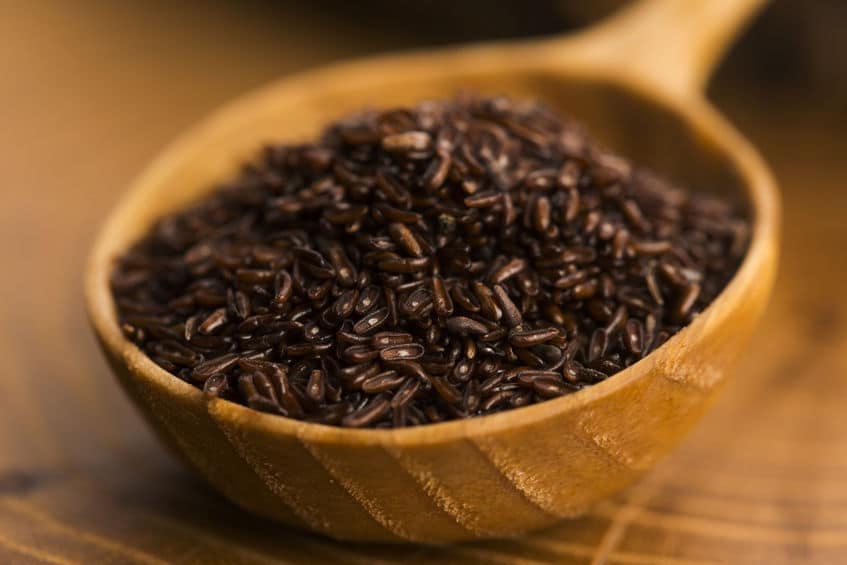 Babka płesznik i zalety jej stosowania