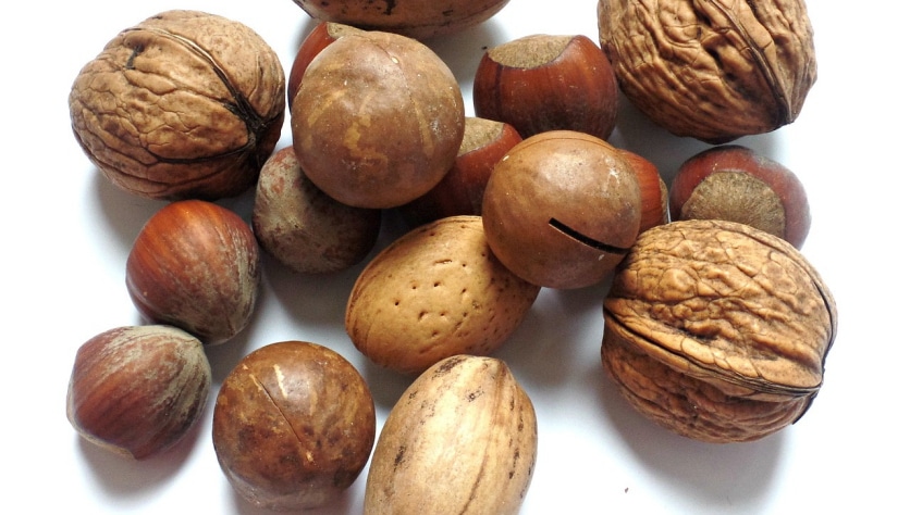 mieszanka studencka orzechy odchudzanie