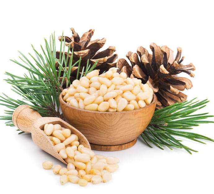 Orzechy piniowe – właściwości, wartości odżywcze i przepisy