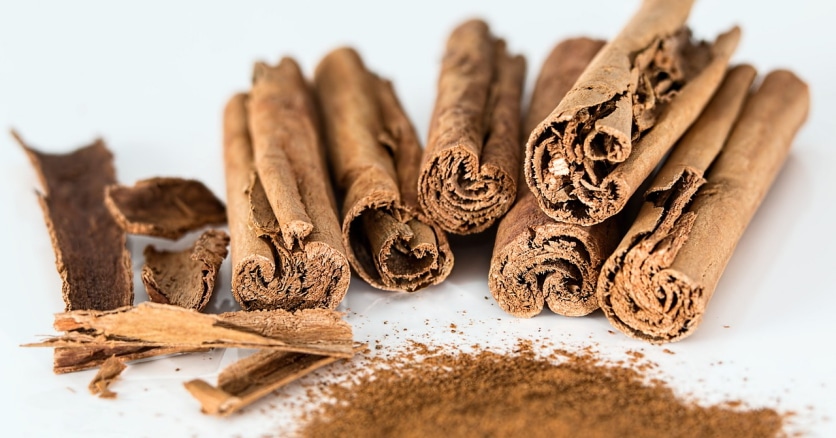 przyprawa meksykańska cynamon kora