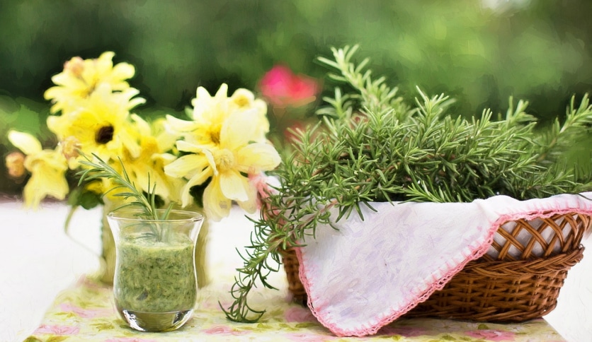 czubrica czubryca właściwości