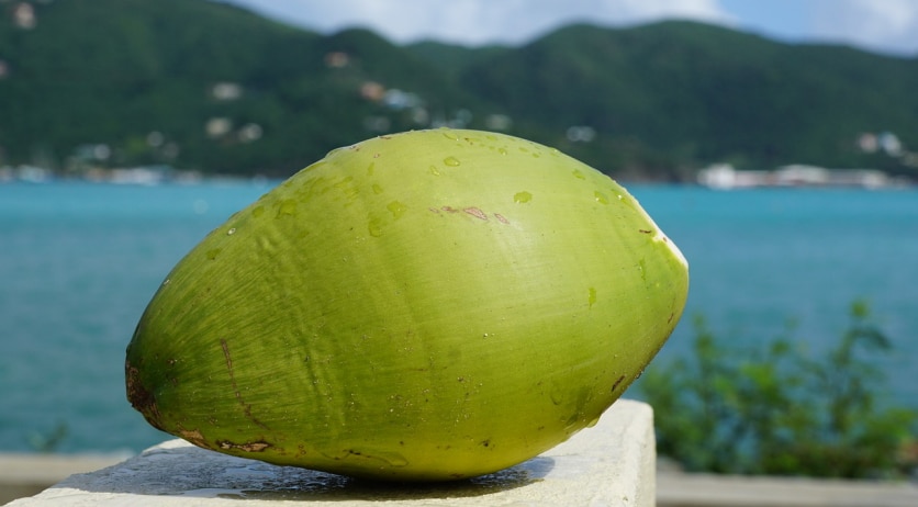 mąka kokosowa zastosowanie