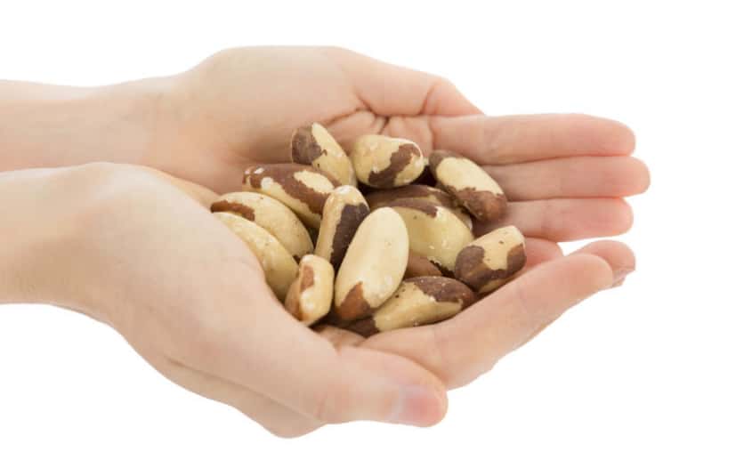 orzechy brazylijskie kalorie wlasciwosci zdrowotne