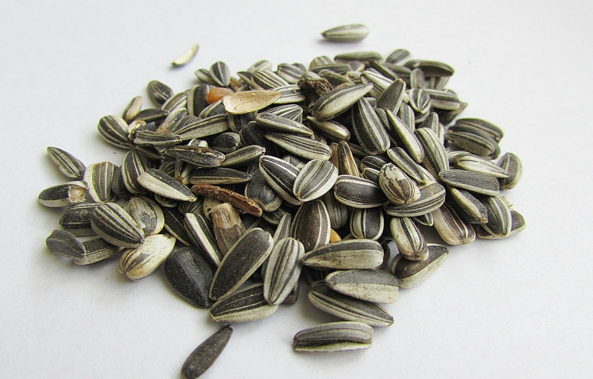 słonecznik łuskany a zdrowie