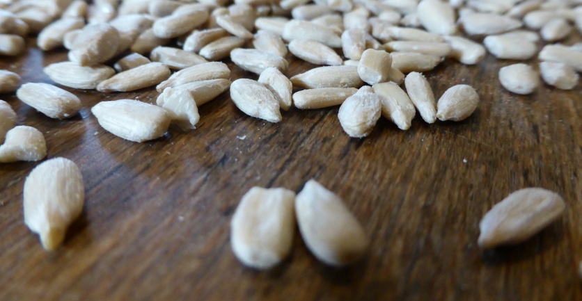 ziarna słonecznika łuskanego