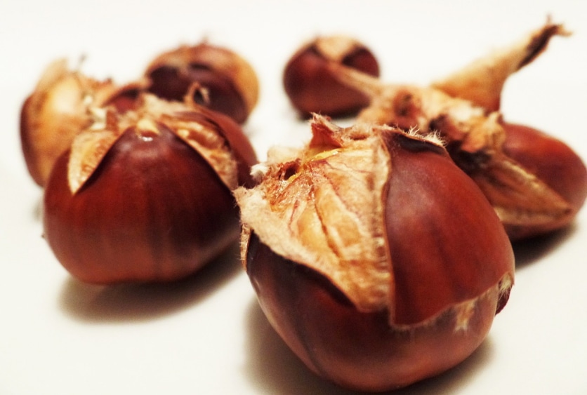 kasztany jadalne jak jeść