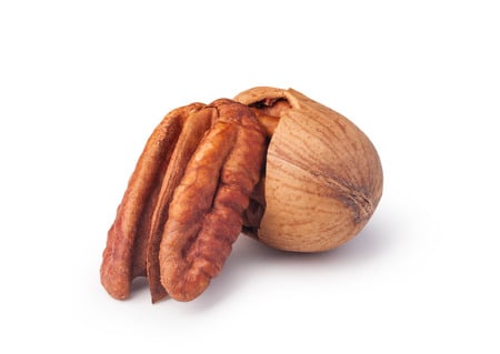 Orzechy pekan – biologia, właściwości i przepisy