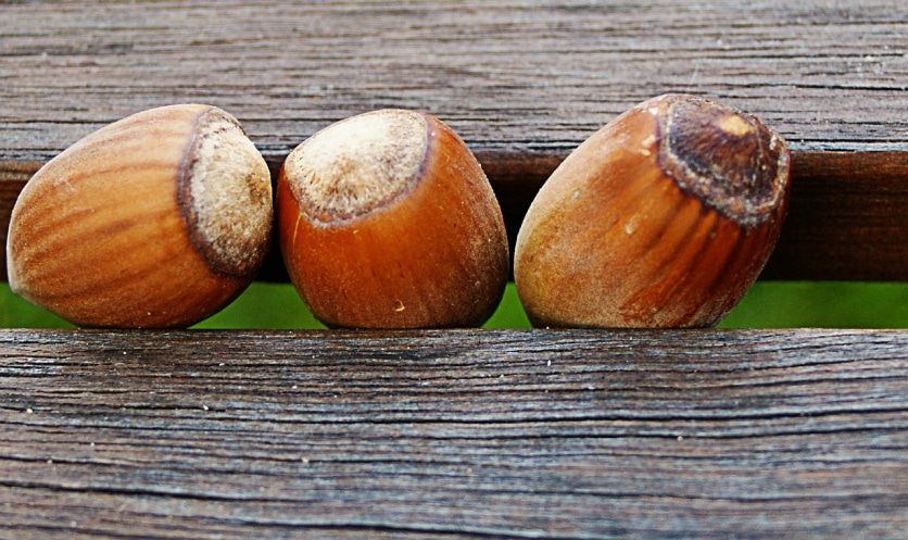 orzechy laskowe kalorie