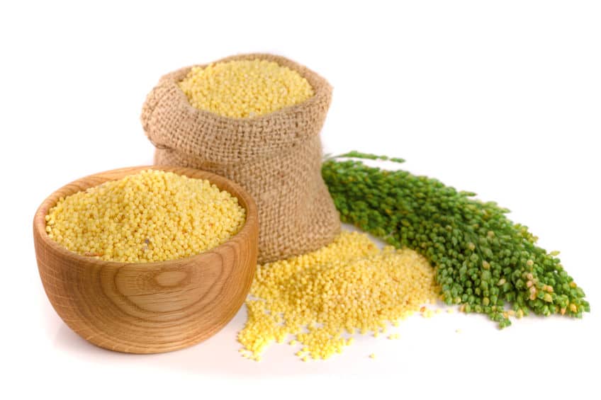 Kasza jaglana – właściwości, walory dietetyczne i przepisy