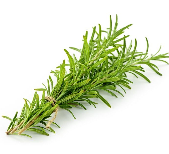 Rozmaryn – właściwości i działanie