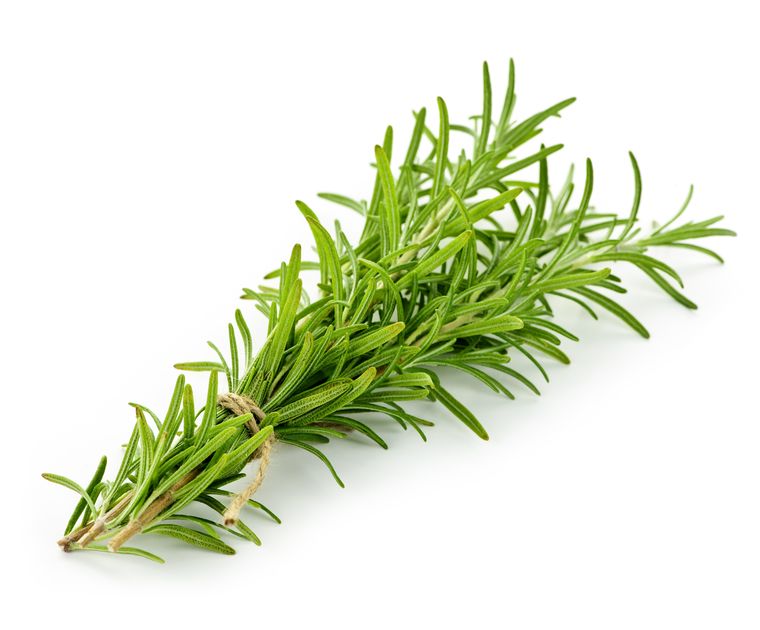 Rozmaryn – właściwości i działanie