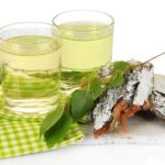 Sok z brzozy – właściwości, działanie i przechowywanie sok z brzozy